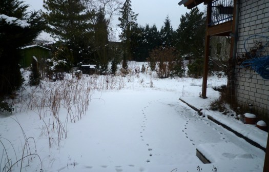 14.01.10 Der Winter hat uns voll im Griff