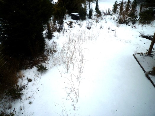 Gartenansicht 11.02.10