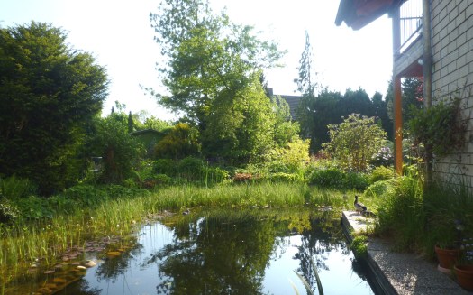 Garten Pfingsten 2010