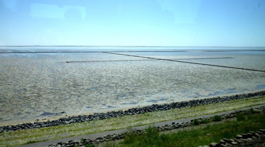 Wattenmeer