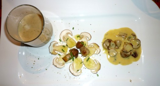 Variationen von Steinpilzen