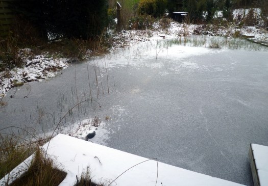 Der Winter hat Einzug gehalten