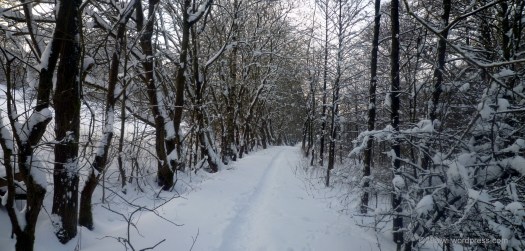 Winterwanderung 1 Winterwanderung 1