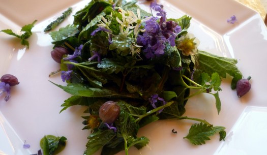 Wildkräutersalat 01