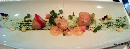 03 Novalis-Jacobsmuschel