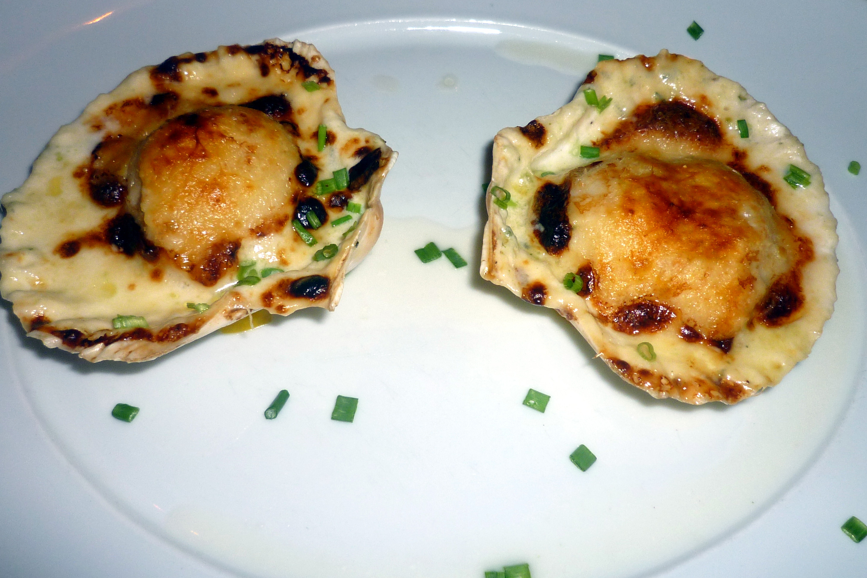 01 Jacobsmuscheln 01 Jacobsmuscheln