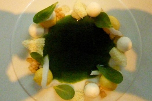 17 7. Gang Kokosnuss