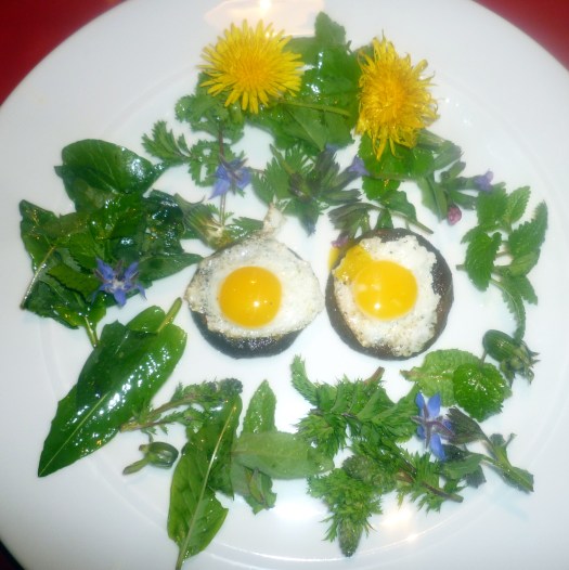 01Wildkräuterteller