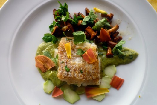 01 Kabeljau-Brokolie-Pfifferlinge