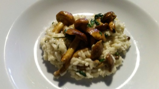 Risotto mit Pilzen