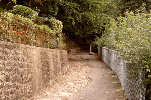 Chronik Vire 2007 349