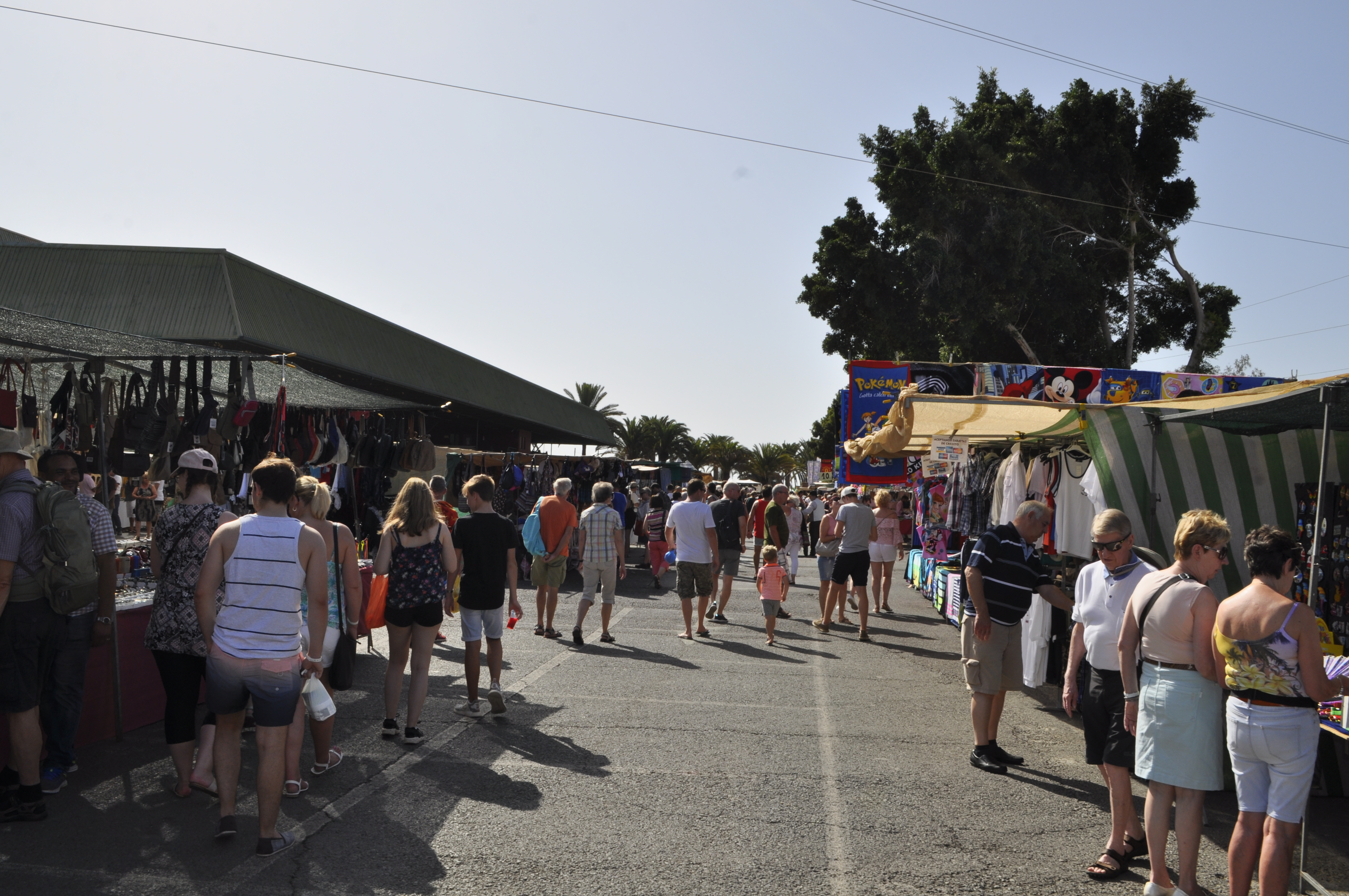 171018 Gran Canaria (35)