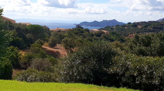 06102018 02 Blick von der Terrasse.jpg